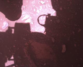 View image taken on Mars, Mars Perseverance Sol 773: Rover Down-Look Camera