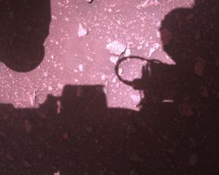 View image taken on Mars, Mars Perseverance Sol 773: Rover Down-Look Camera