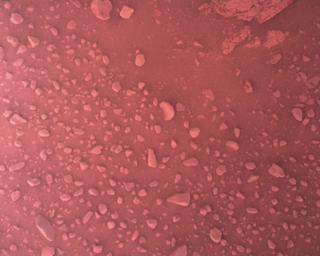 View image taken on Mars, Mars Perseverance Sol 773: Rover Down-Look Camera