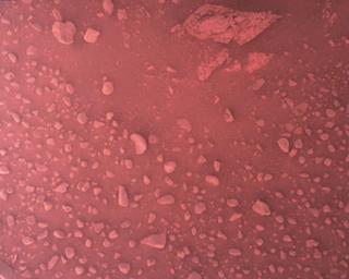 View image taken on Mars, Mars Perseverance Sol 773: Rover Down-Look Camera