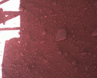 View image taken on Mars, Mars Perseverance Sol 773: Rover Down-Look Camera