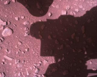 View image taken on Mars, Mars Perseverance Sol 773: Rover Down-Look Camera