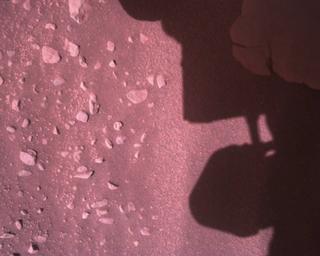 View image taken on Mars, Mars Perseverance Sol 773: Rover Down-Look Camera