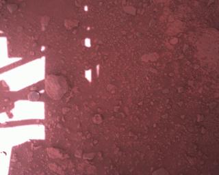 View image taken on Mars, Mars Perseverance Sol 773: Rover Down-Look Camera