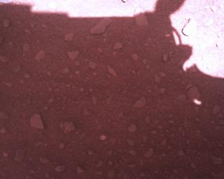 View image taken on Mars, Mars Perseverance Sol 773: Rover Down-Look Camera