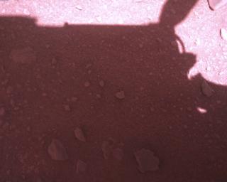 View image taken on Mars, Mars Perseverance Sol 773: Rover Down-Look Camera