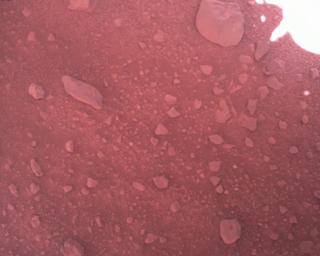 View image taken on Mars, Mars Perseverance Sol 773: Rover Down-Look Camera