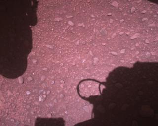 View image taken on Mars, Mars Perseverance Sol 773: Rover Down-Look Camera