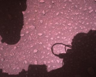 View image taken on Mars, Mars Perseverance Sol 773: Rover Down-Look Camera