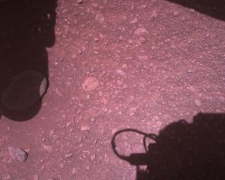 View image taken on Mars, Mars Perseverance Sol 773: Rover Down-Look Camera