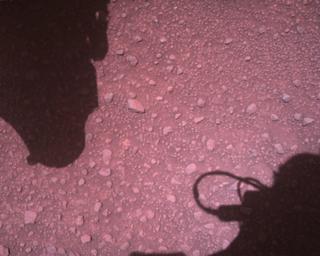 View image taken on Mars, Mars Perseverance Sol 773: Rover Down-Look Camera