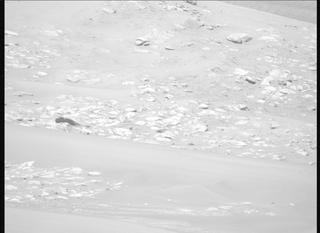 View image taken on Mars, Mars Perseverance Sol 773: Left Mastcam-Z Camera