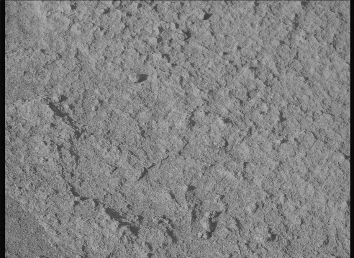 This image was taken by MCZ_LEFT onboard NASA's Mars rover Perseverance on Sol 775