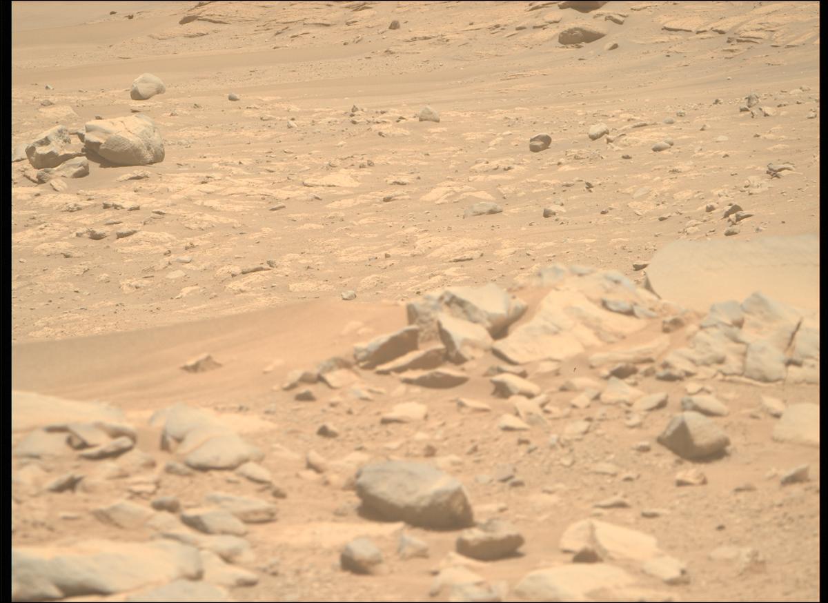 This image was taken by MCZ_RIGHT onboard NASA's Mars rover Perseverance on Sol 775