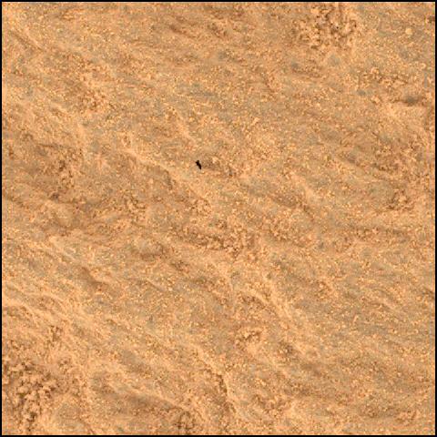 This image was taken by SHERLOC_WATSON onboard NASA's Mars rover Perseverance on Sol 776