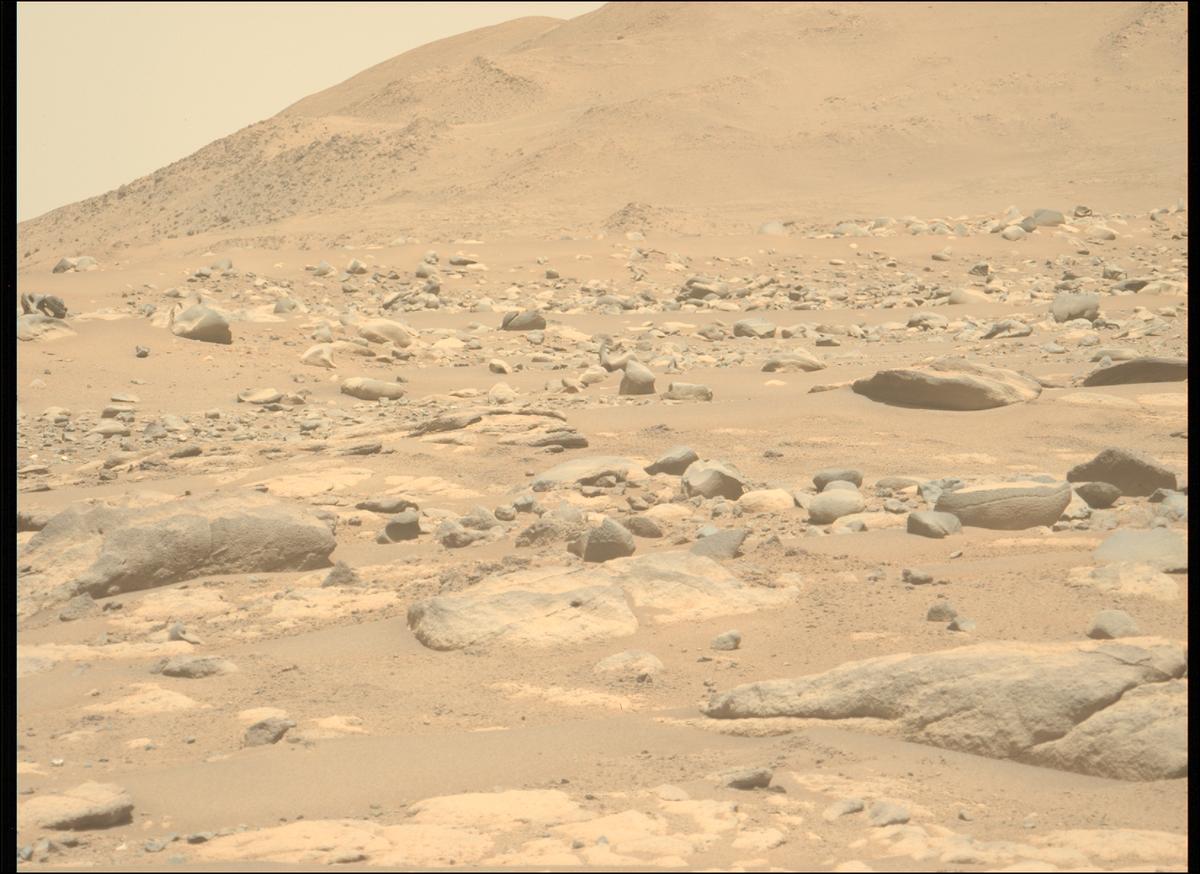 This image was taken by MCZ_LEFT onboard NASA's Mars rover Perseverance on Sol 776