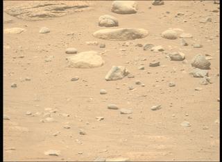 View image taken on Mars, Mars Perseverance Sol 776: Left Mastcam-Z Camera