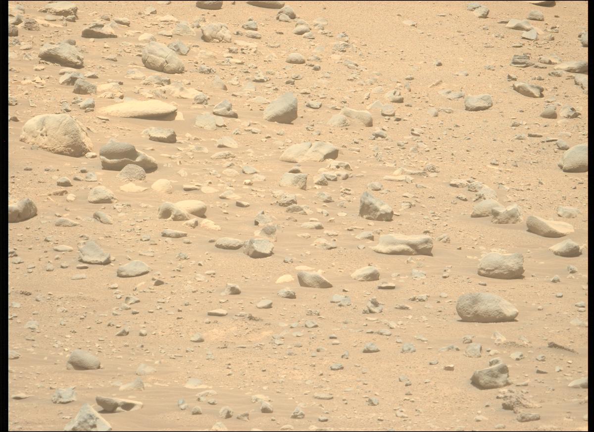This image was taken by MCZ_LEFT onboard NASA's Mars rover Perseverance on Sol 776