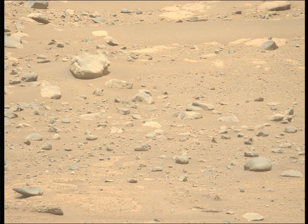 This image was taken by MCZ_LEFT onboard NASA's Mars rover Perseverance on Sol 776