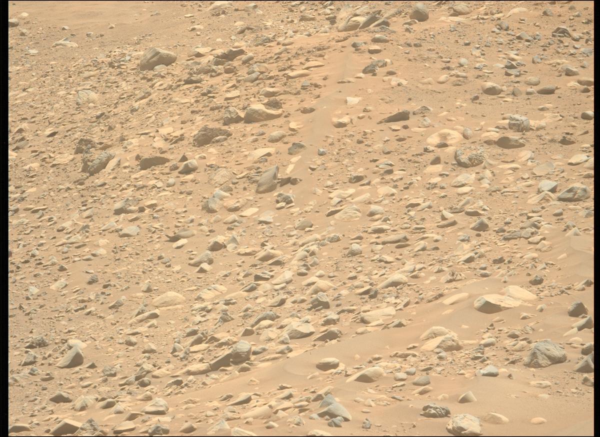 This image was taken by MCZ_LEFT onboard NASA's Mars rover Perseverance on Sol 776