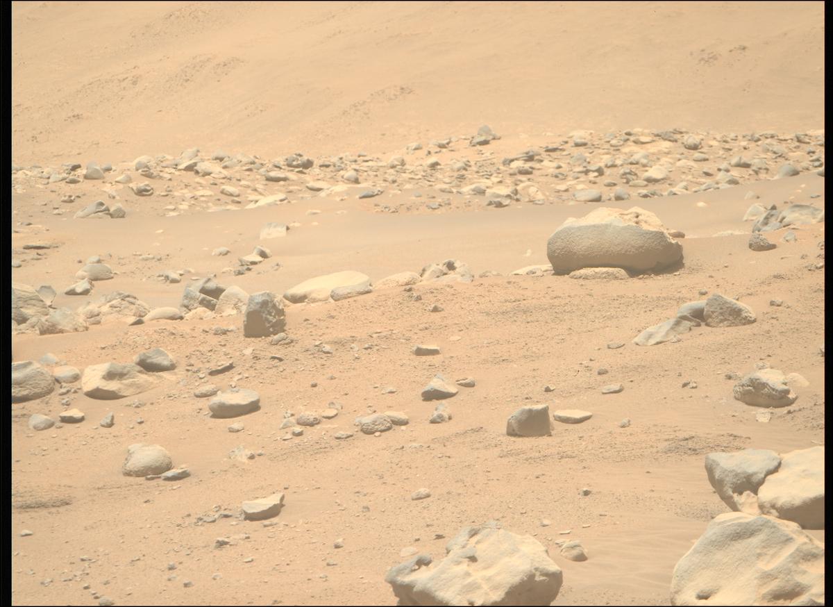 This image was taken by MCZ_RIGHT onboard NASA's Mars rover Perseverance on Sol 776
