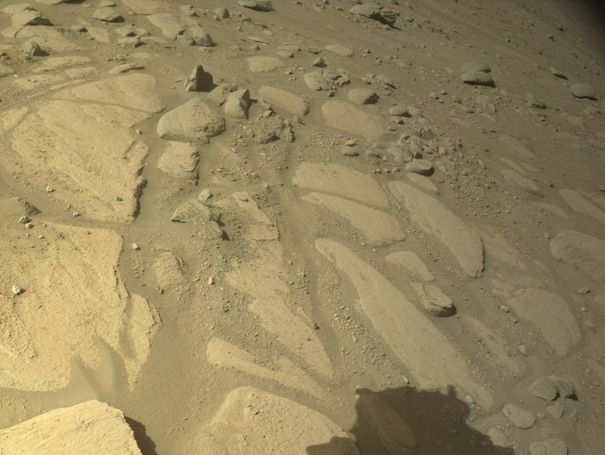 This image was taken by NAVCAM_LEFT onboard NASA's Mars rover Perseverance on Sol 777