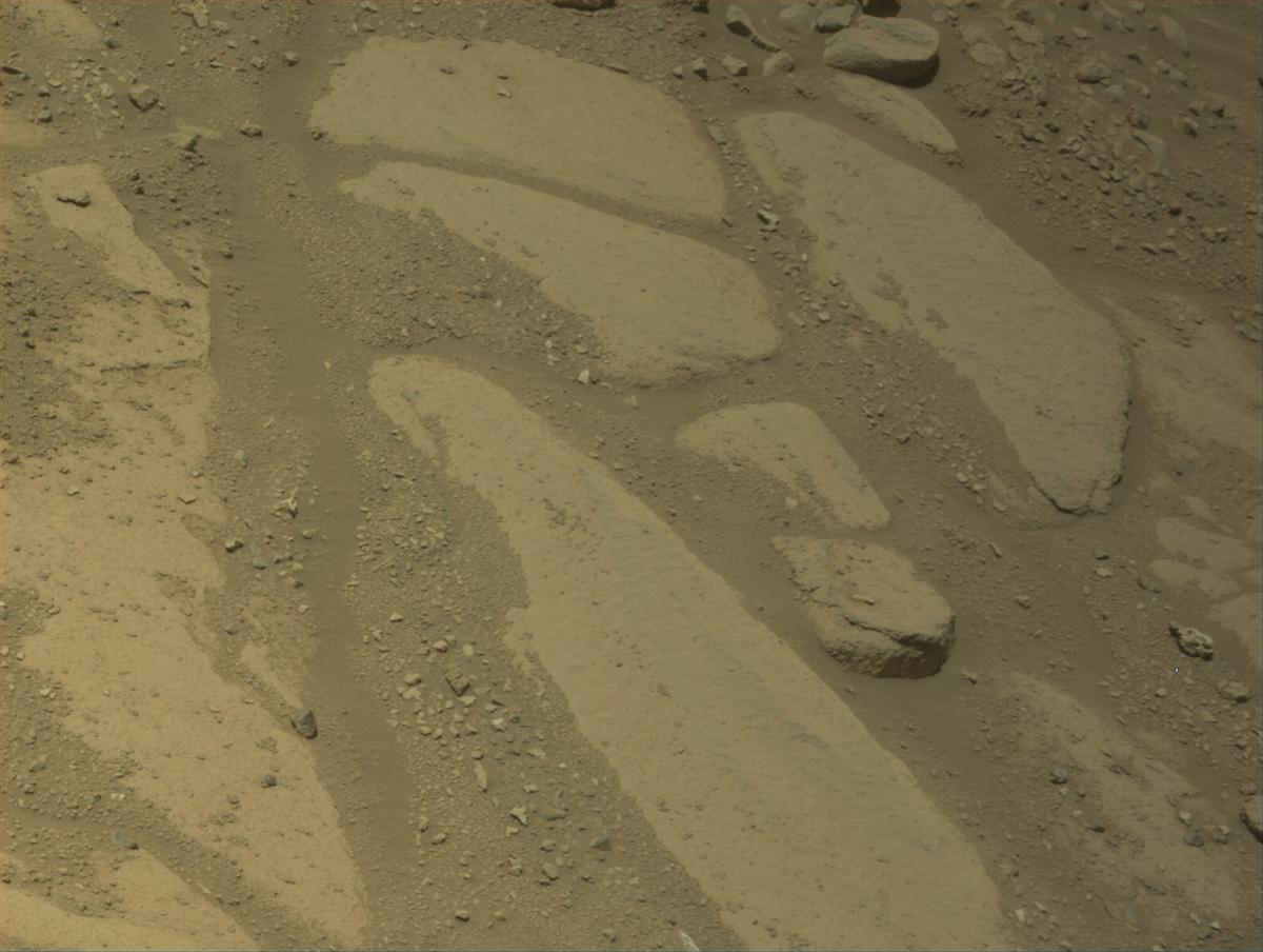 This image was taken by NAVCAM_RIGHT onboard NASA's Mars rover Perseverance on Sol 781