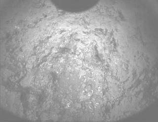 View image taken on Mars, Mars Perseverance Sol 781: PIXL Camera 