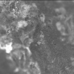 View image taken on Mars, Mars Perseverance Sol 781: SHERLOC ACI Camera 