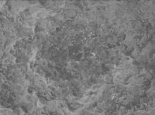 View image taken on Mars, Mars Perseverance Sol 781: WATSON Camera 