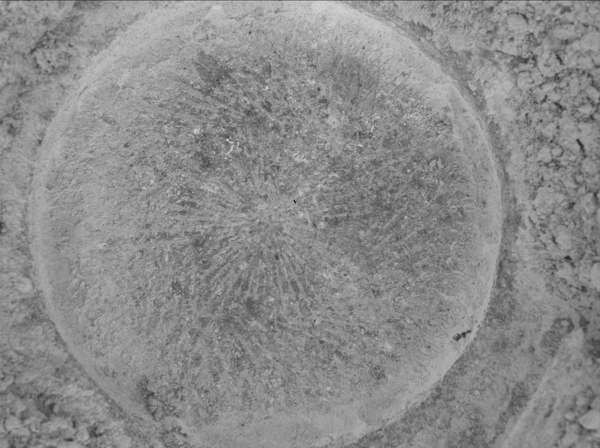 This image was taken by SHERLOC_WATSON onboard NASA's Mars rover Perseverance on Sol 781