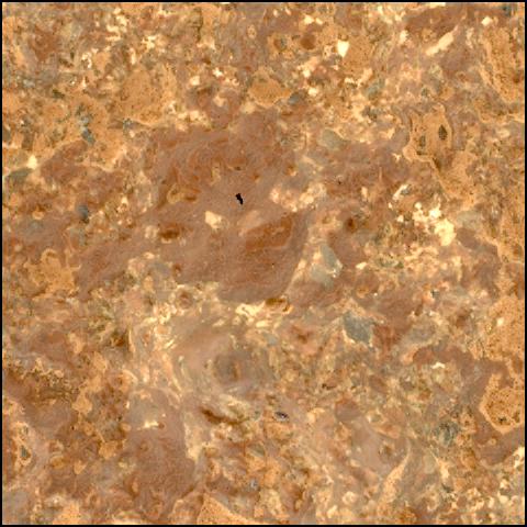 This image was taken by SHERLOC_WATSON onboard NASA's Mars rover Perseverance on Sol 781