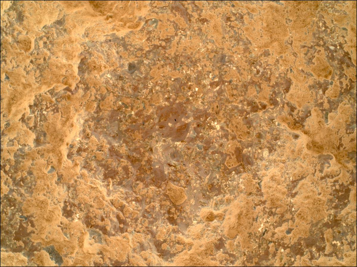 This image was taken by SHERLOC_WATSON onboard NASA's Mars rover Perseverance on Sol 781