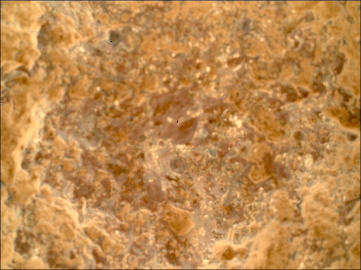 This image was taken by SHERLOC_WATSON onboard NASA's Mars rover Perseverance on Sol 781