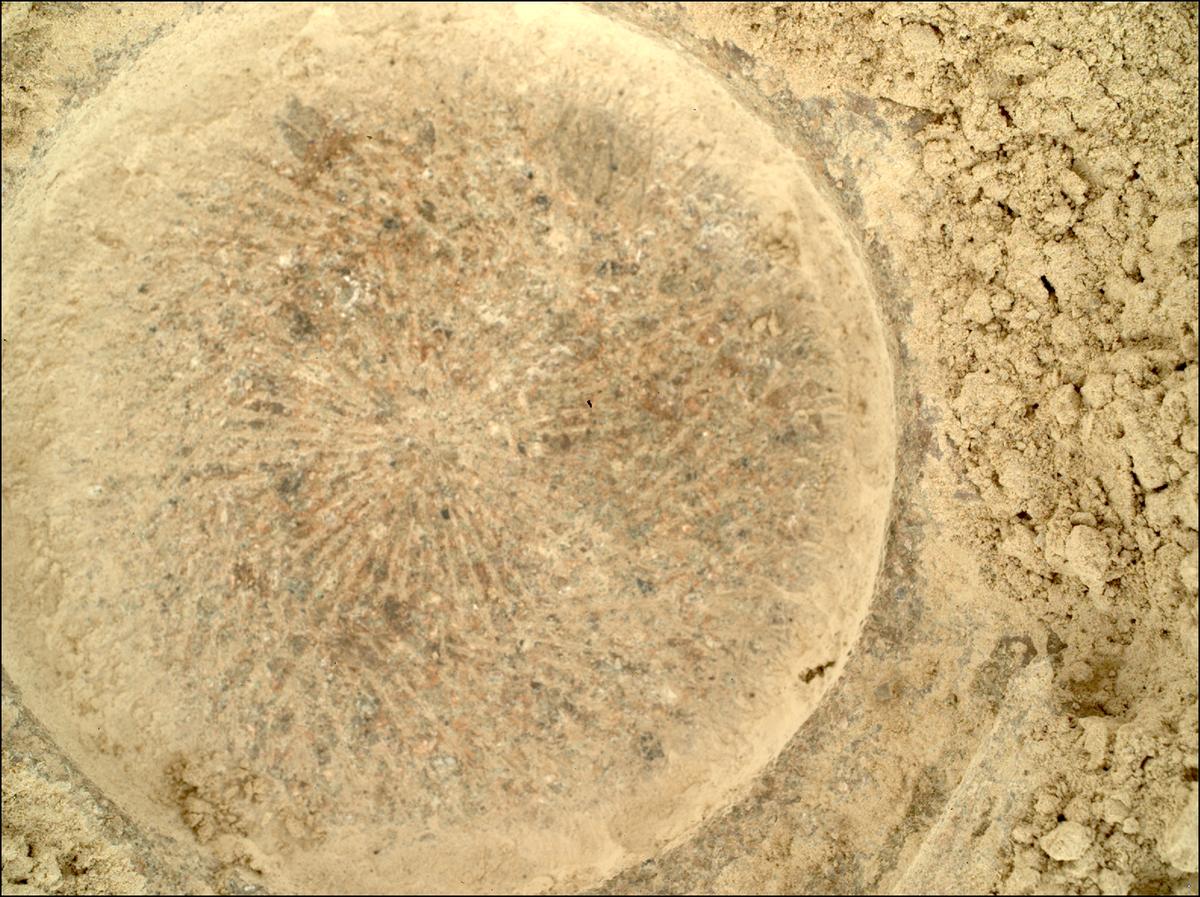 This image was taken by SHERLOC_WATSON onboard NASA's Mars rover Perseverance on Sol 781