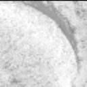 This image was taken by MCZ_LEFT onboard NASA's Mars rover Perseverance on Sol 781