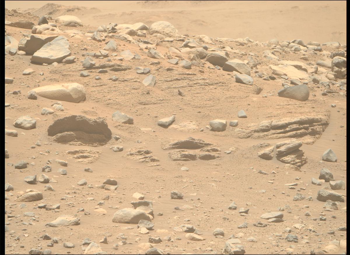 This image was taken by MCZ_RIGHT onboard NASA's Mars rover Perseverance on Sol 781