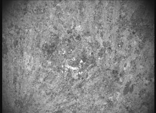 View image taken on Mars, Mars Perseverance Sol 782: SHERLOC ACI Camera 