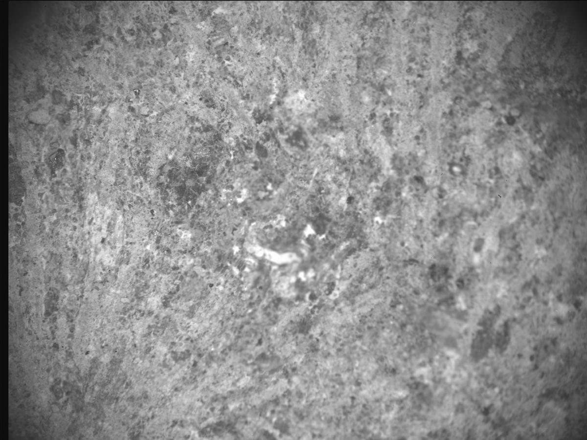 This image was taken by SHERLOC_ACI onboard NASA's Mars rover Perseverance on Sol 782