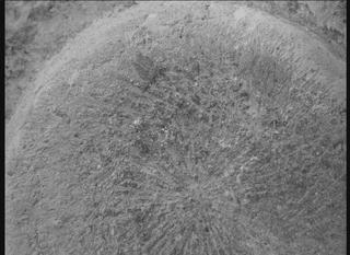 View image taken on Mars, Mars Perseverance Sol 782: WATSON Camera 