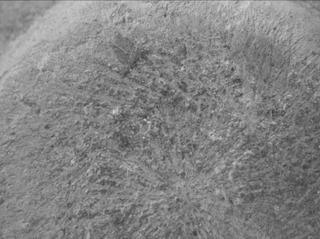 View image taken on Mars, Mars Perseverance Sol 782: WATSON Camera 