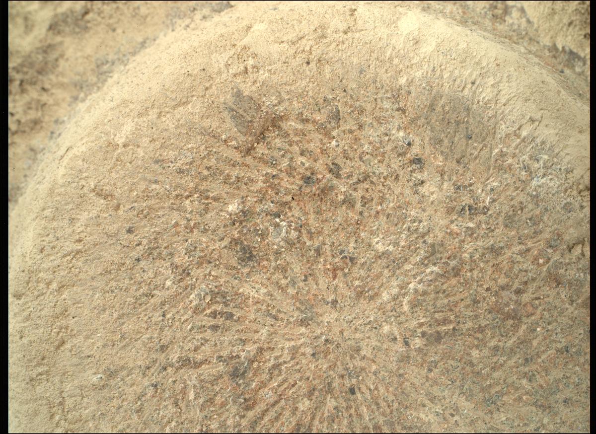 This image was taken by SHERLOC_WATSON onboard NASA's Mars rover Perseverance on Sol 782