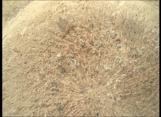 View image taken on Mars, Mars Perseverance Sol 782: WATSON Camera 