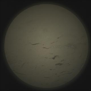 View image taken on Mars, Mars Perseverance Sol 786: SuperCam Camera