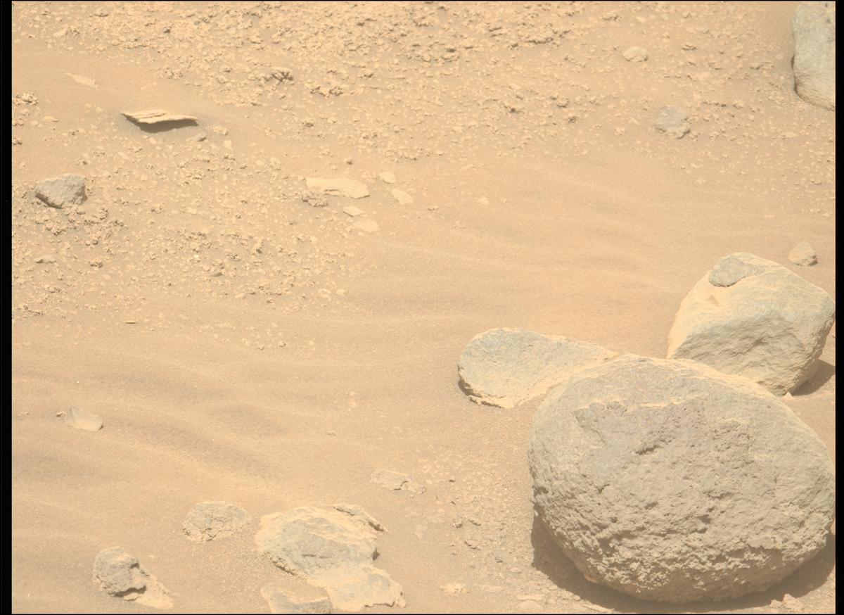 This image was taken by MCZ_LEFT onboard NASA's Mars rover Perseverance on Sol 786