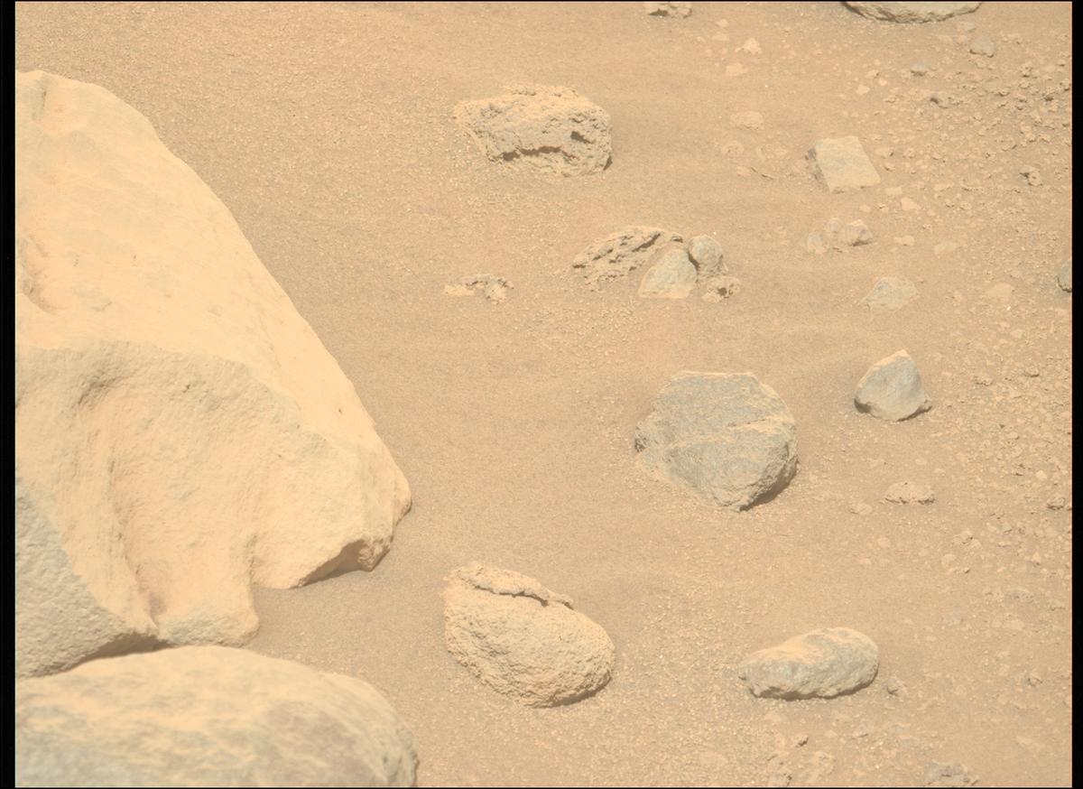 This image was taken by MCZ_LEFT onboard NASA's Mars rover Perseverance on Sol 786