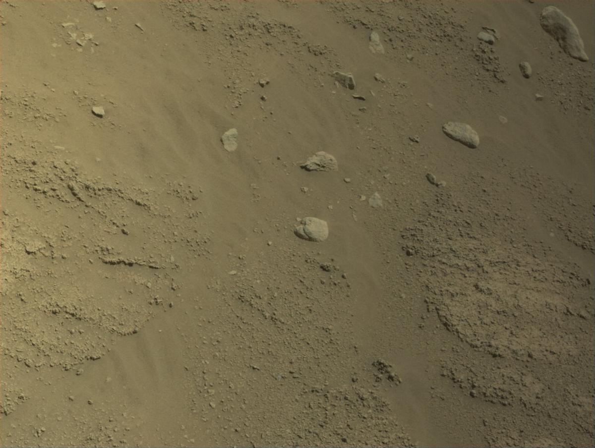 This image was taken by NAVCAM_LEFT onboard NASA's Mars rover Perseverance on Sol 788