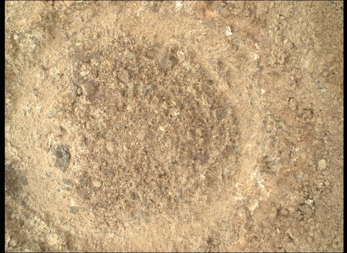 This image was taken by SHERLOC_WATSON onboard NASA's Mars rover Perseverance on Sol 788