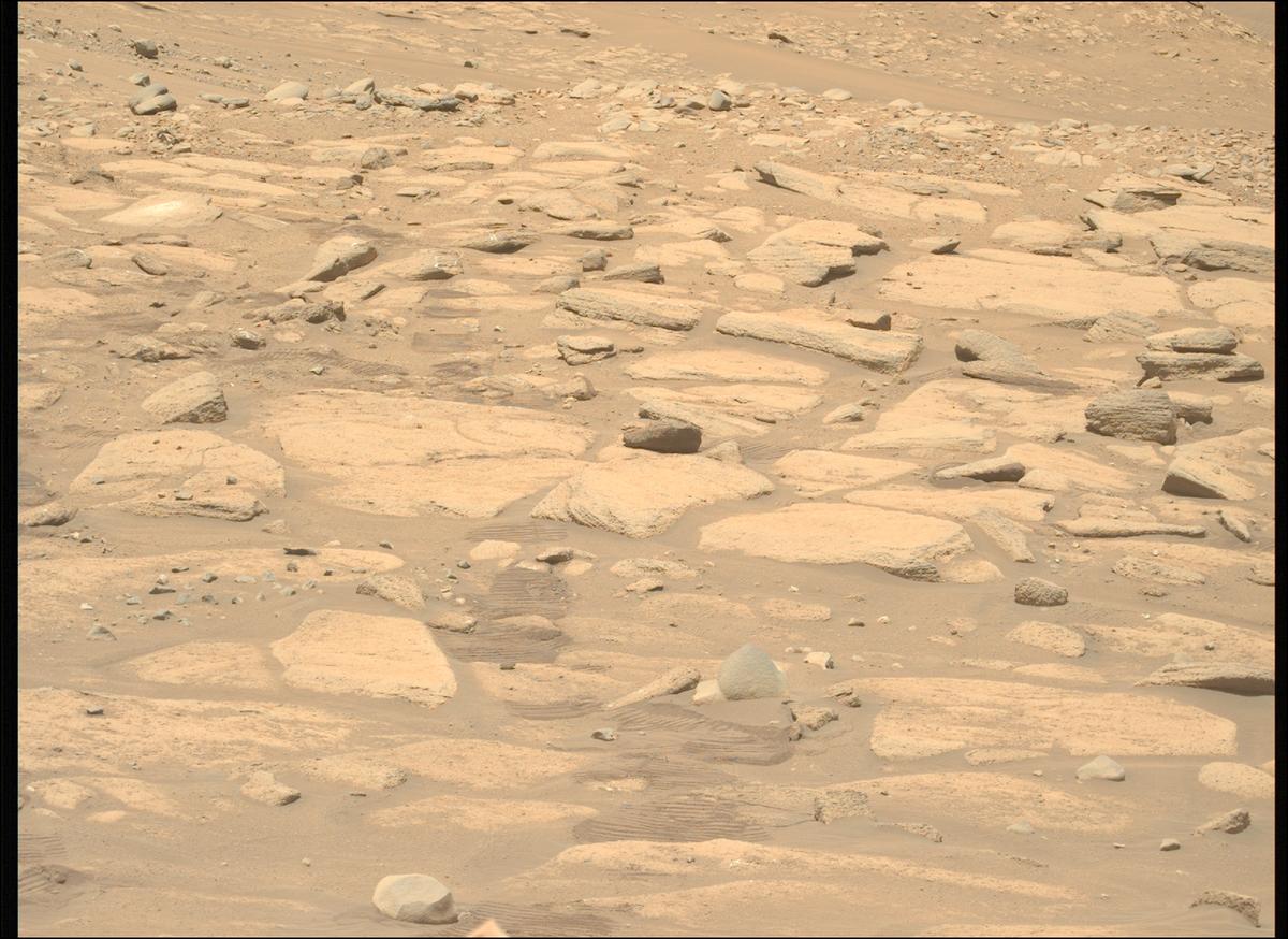 This image was taken by MCZ_LEFT onboard NASA's Mars rover Perseverance on Sol 789