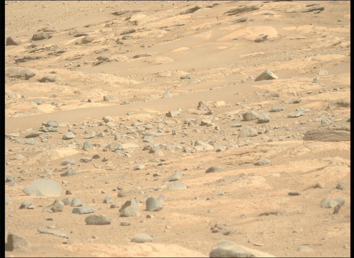 This image was taken by MCZ_LEFT onboard NASA's Mars rover Perseverance on Sol 790
